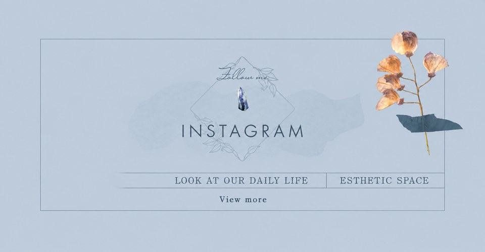 Instagram @privatesalon_loiseaubleu